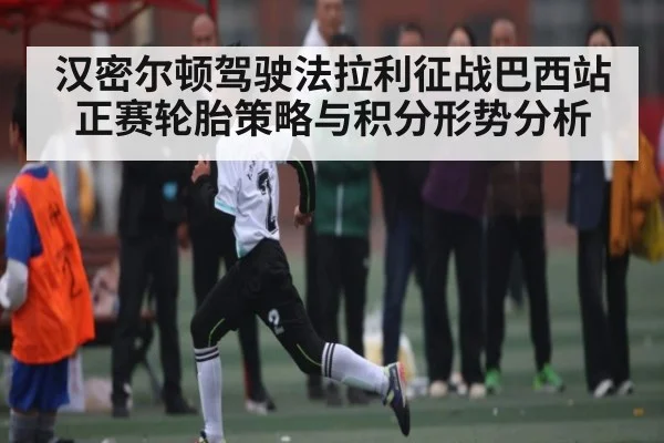 汉密尔顿驾驶法拉利征战巴西站正赛轮胎策略与积分形势分析