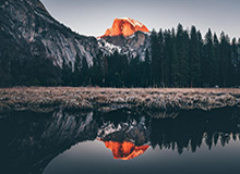 开云-四官“种族歧视”引球员退场 巴黎欧冠比赛明日再战